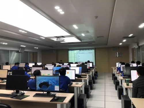 集團開展青工常用辦公軟件培訓與技術比武，助力網絡技術開發人才成長